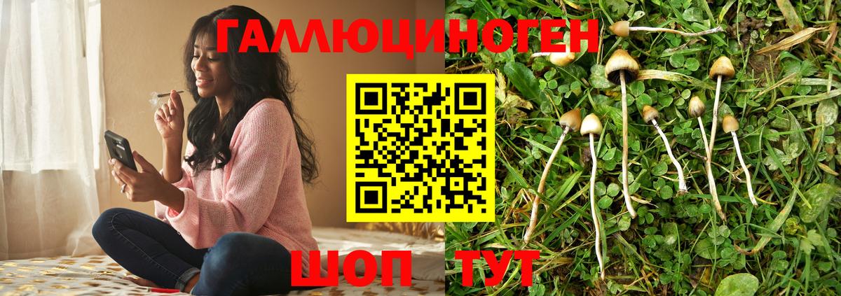 Псилоцибиновые грибы MAGIC MUSHROOMS Избербаш